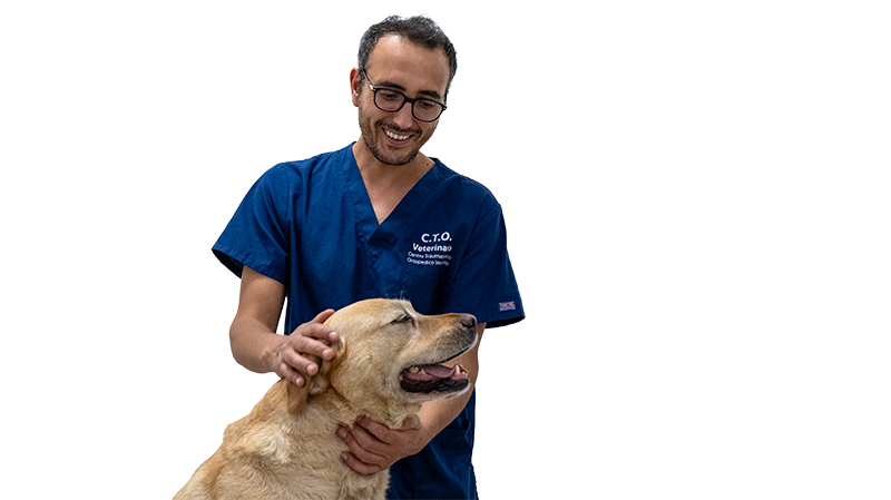 Dr. Currenti Ortopedia Veterinaria_controlli ortopedici