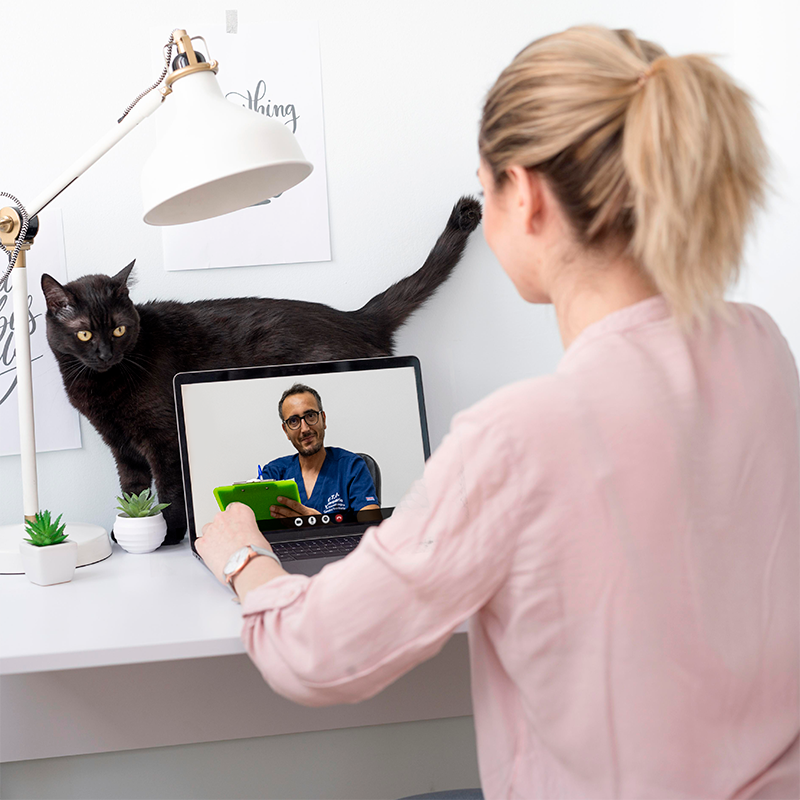 Teleconsulto Ortopedia Veterinaria_ Dr. Currenti