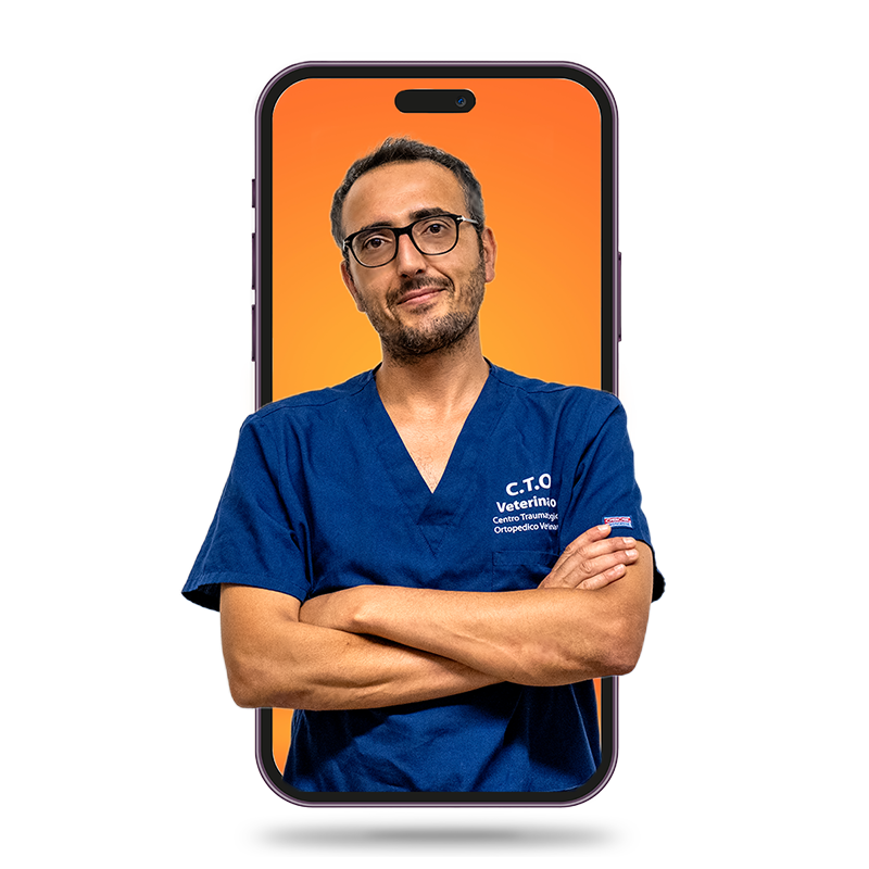 Teleconsulto Ortopedia Veterinaria_ Dr. Currenti