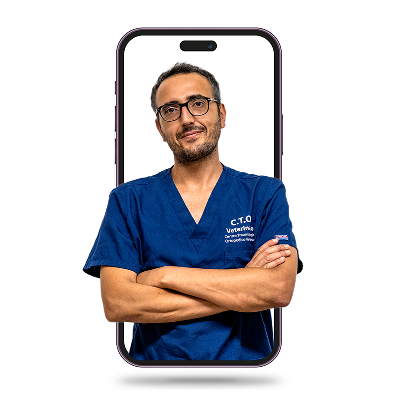 Teleconsulto Ortopedia Veterinaria_ Dr. Currenti